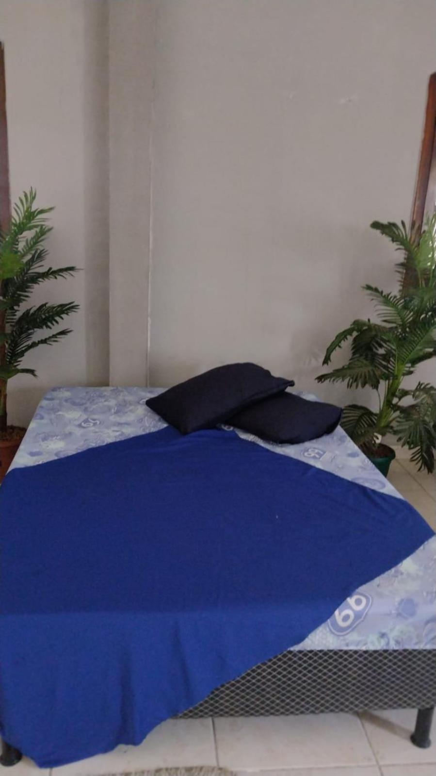 ريو دي جانيرو Olympios House Hostel المظهر الخارجي الصورة
