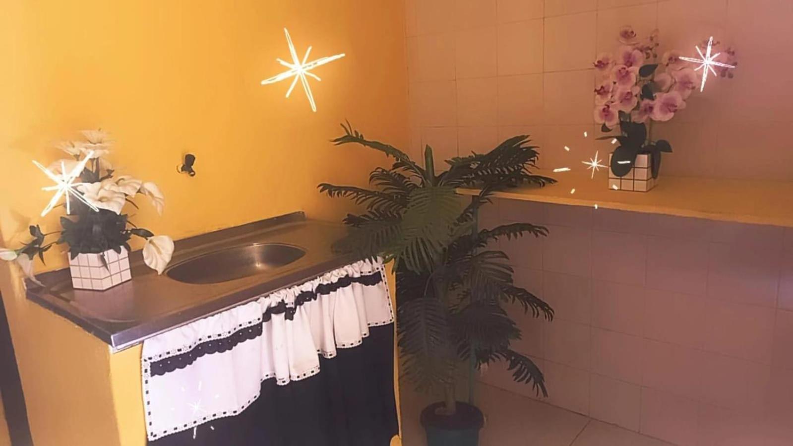 ريو دي جانيرو Olympios House Hostel المظهر الخارجي الصورة