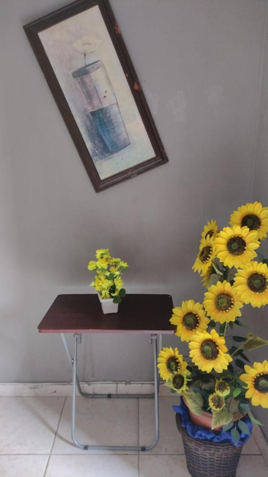 ريو دي جانيرو Olympios House Hostel المظهر الخارجي الصورة